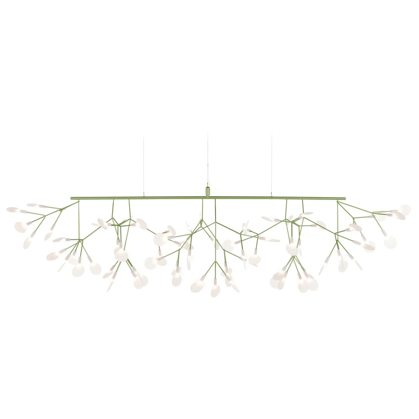 Heracleum III Linear - JANGEORGe Interiors & Furniture