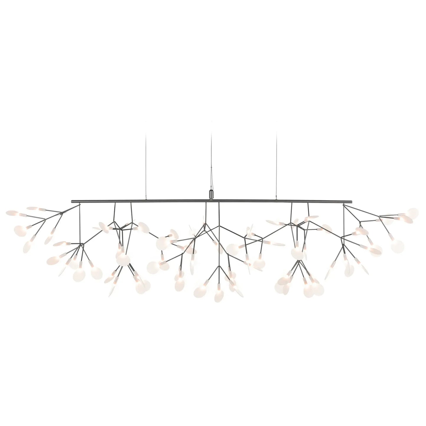 Heracleum III Linear - JANGEORGe Interiors & Furniture