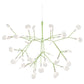 Heracleum III Suspended Moooi