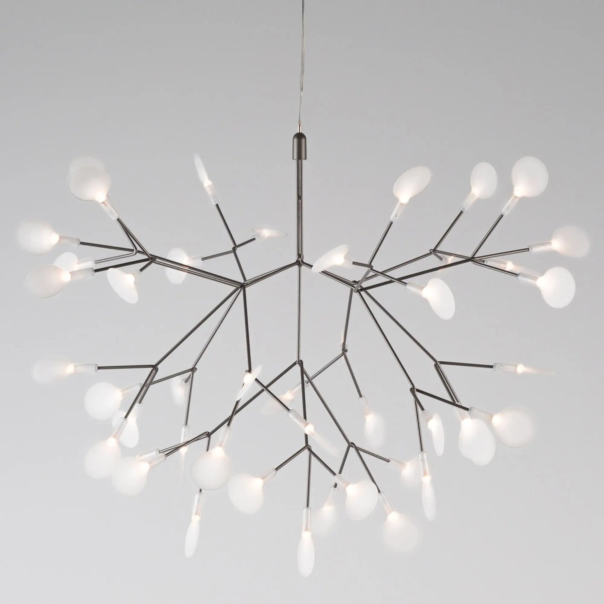 Heracleum III Suspended Moooi