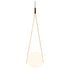 Odin Visser - NomNom Light - JANGEORGe Interiors & Furniture