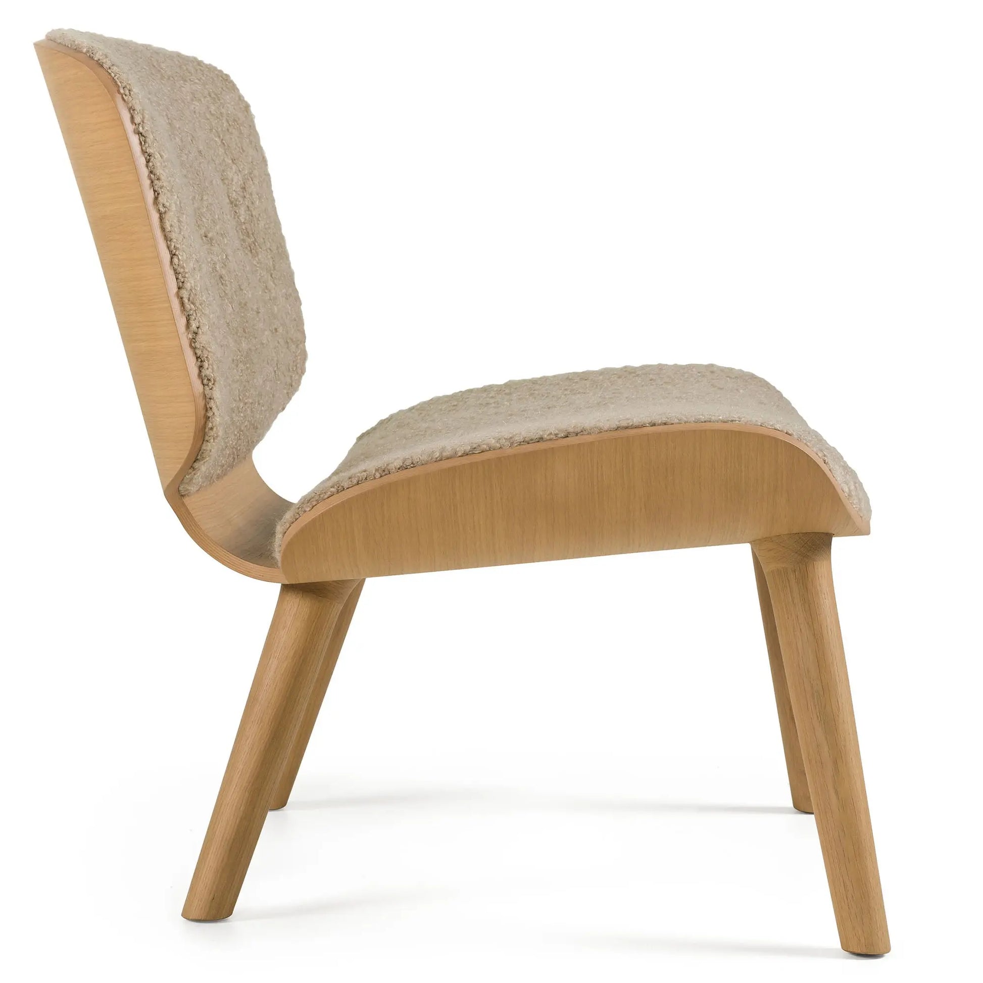 Nut Lounge Chair - Armchair - JANGEORGe Interiors & Furniture