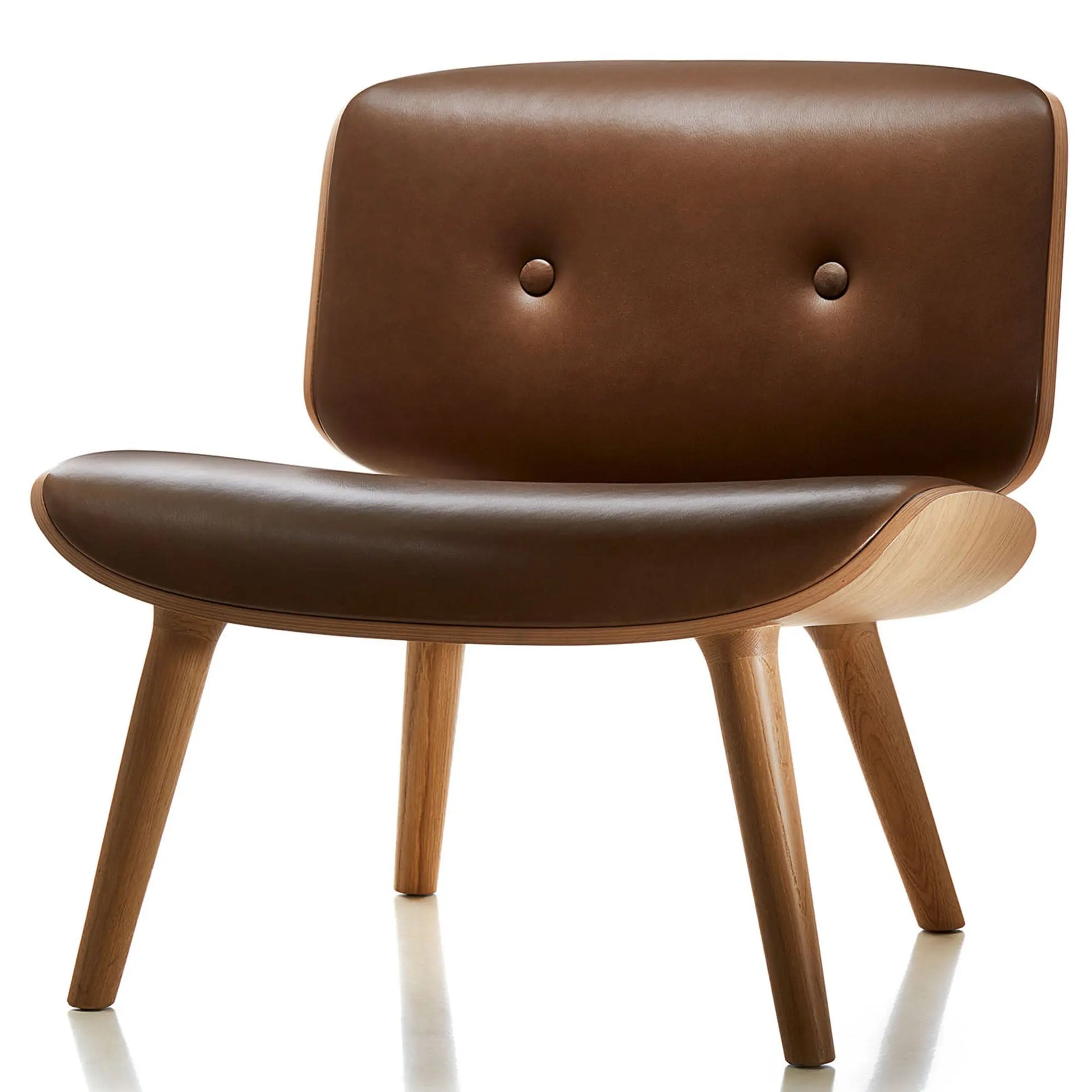 Nut Lounge Chair - Armchair - JANGEORGe Interiors & Furniture