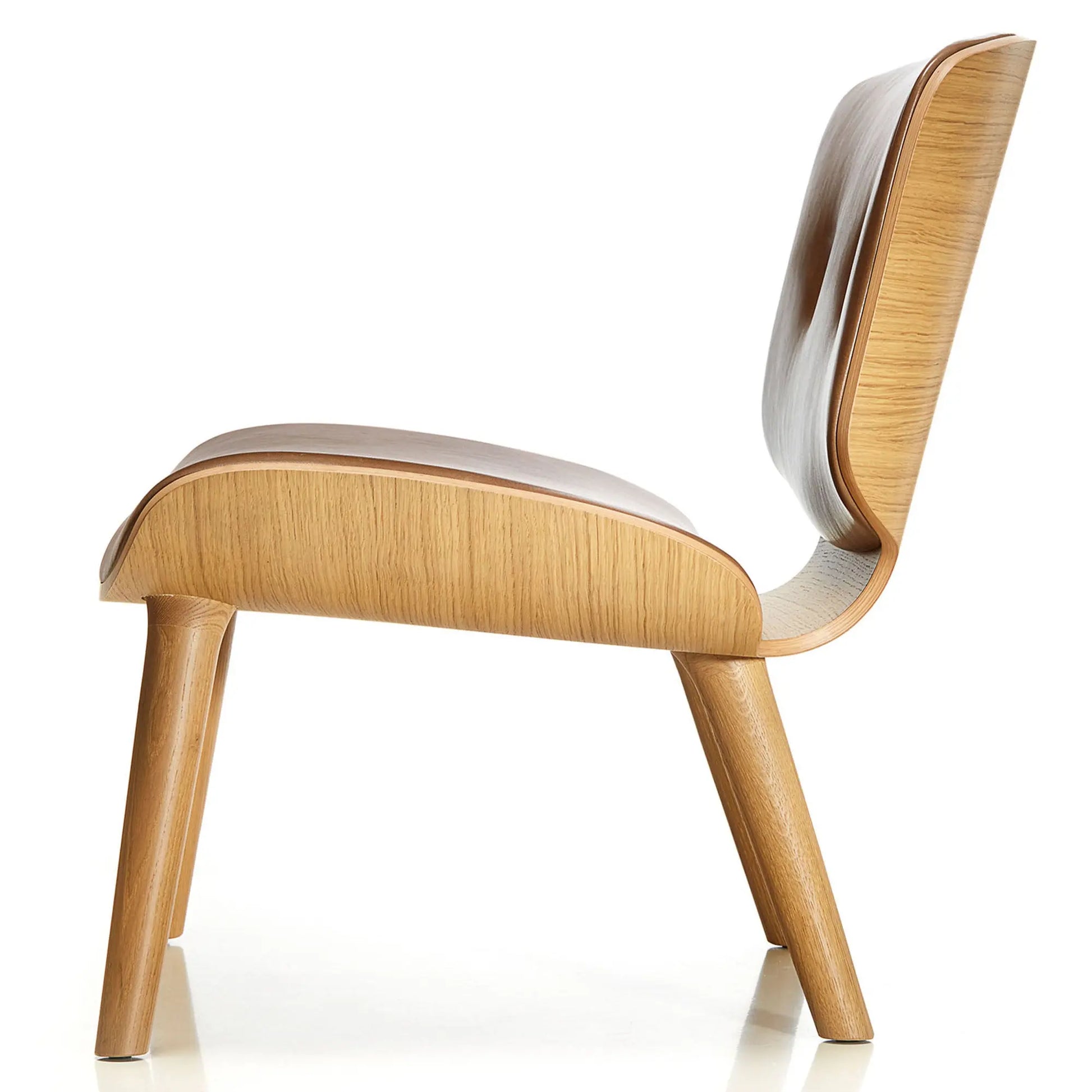 Nut Lounge Chair - Armchair - JANGEORGe Interiors & Furniture