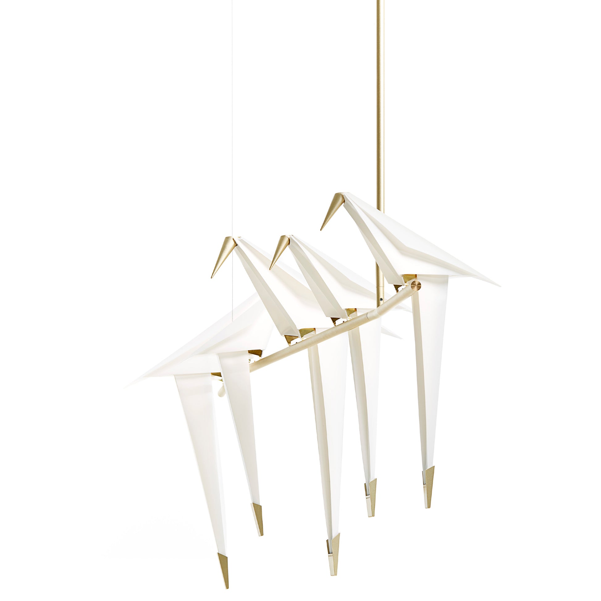 Perch Light Branch - Suspension Lamp, Large - JANGEORGe Interiors & Furniture