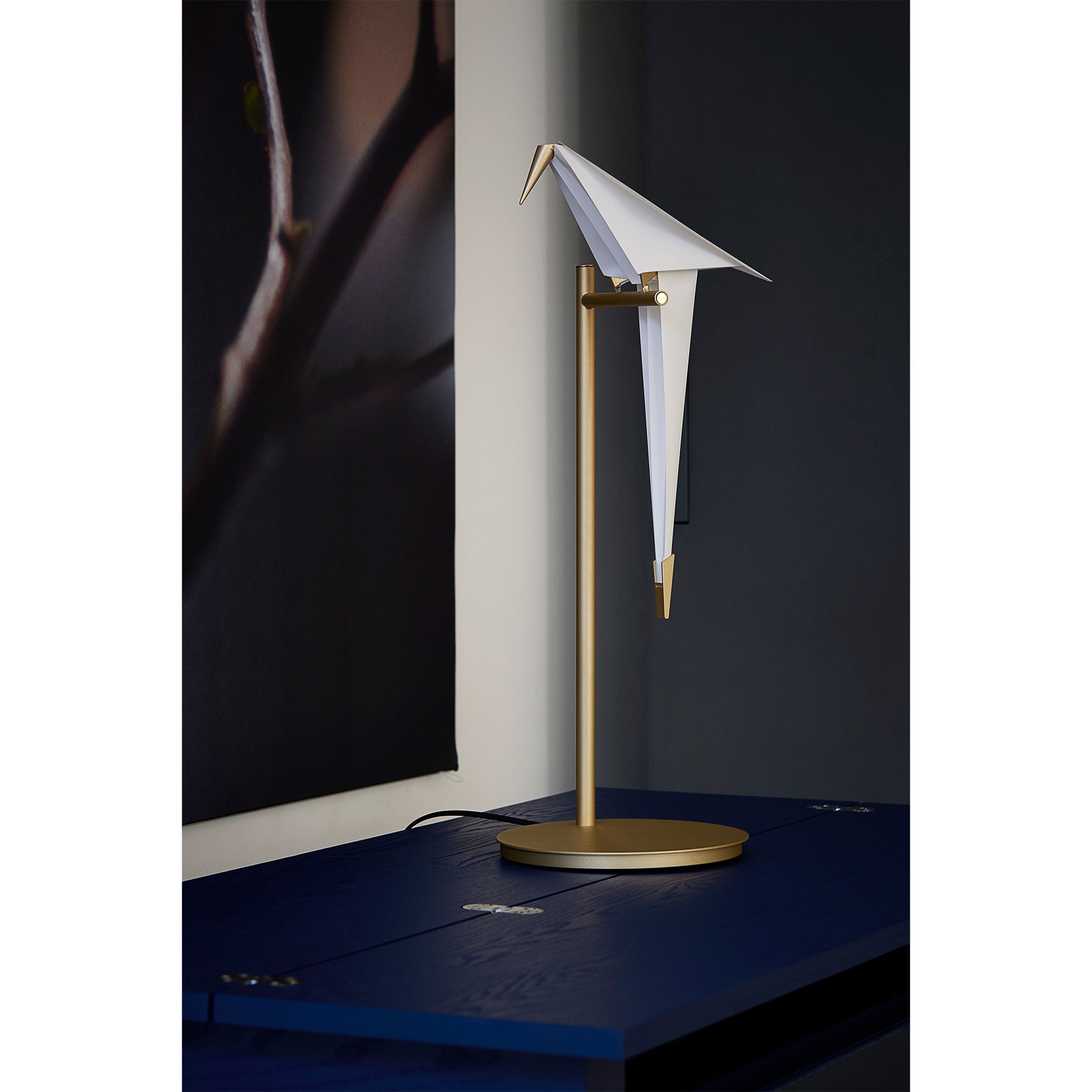 Perch Light - Table Lamp - JANGEORGe Interiors & Furniture