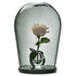 Maximilian Jencquel - Bell Jar - JANGEORGe Interiors & Furniture