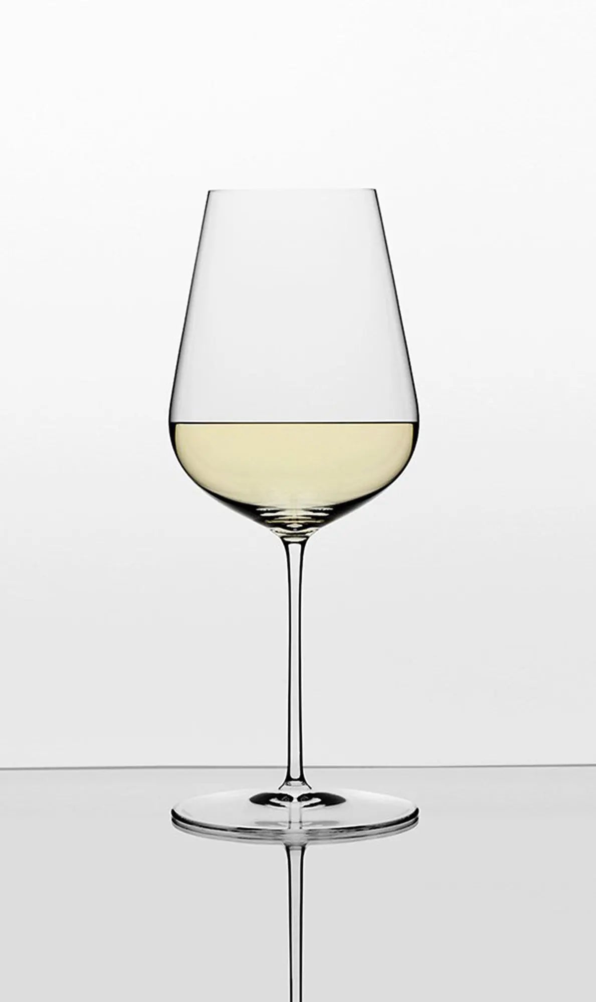 Jancis Robinson x Richard Brenson - The 1 Wine Glass | Richard Brendon